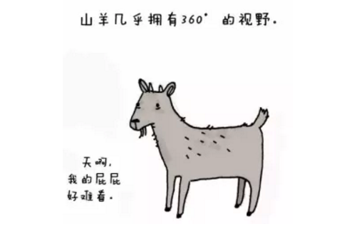山羊的視野